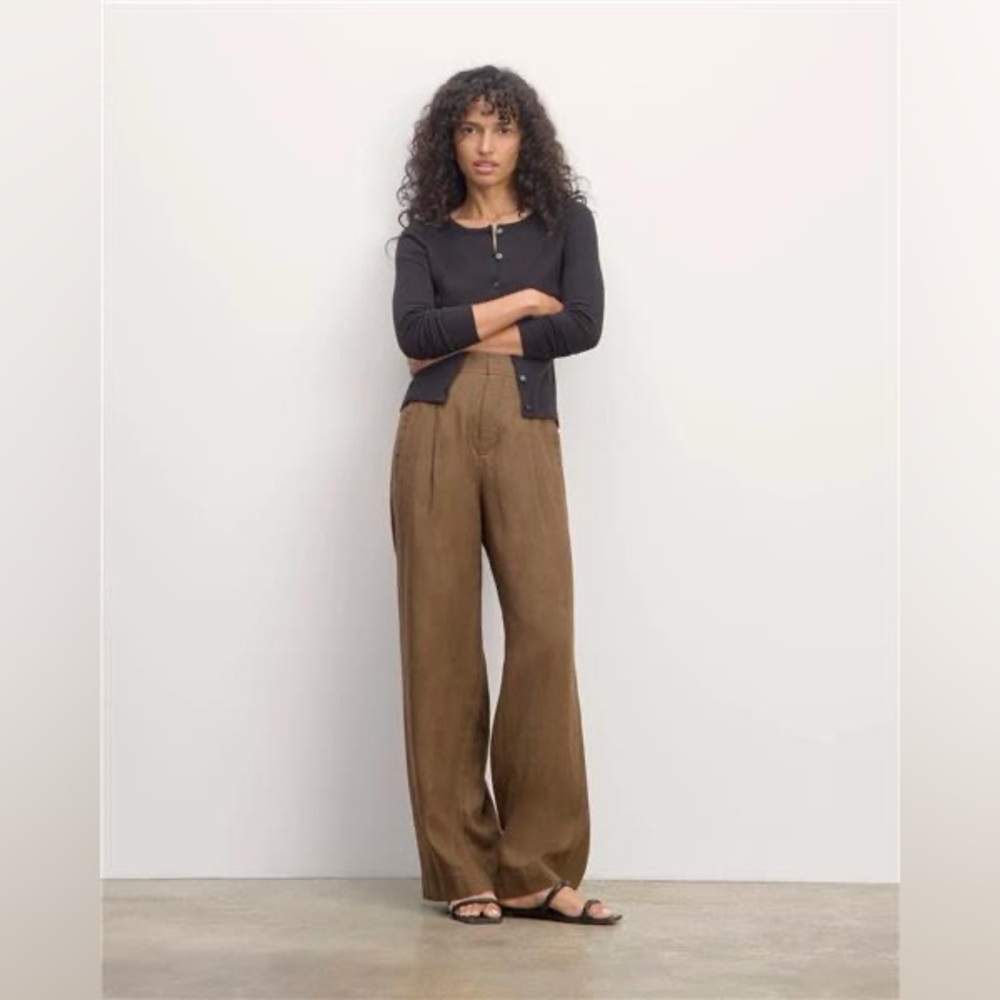 Everlane Linen Way-High Drape Pant Brown Wide Leg Pleated Trousers Size 10